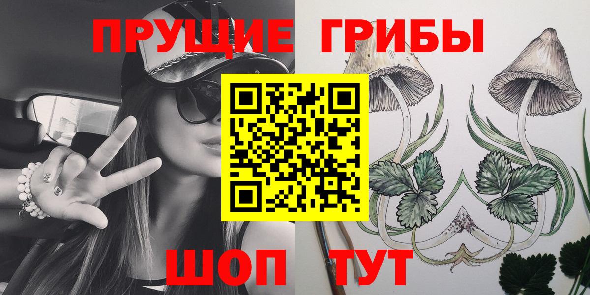 Михайловск  Галлюциногенные грибы GOLDEN TEACHER  Вход с VPN 