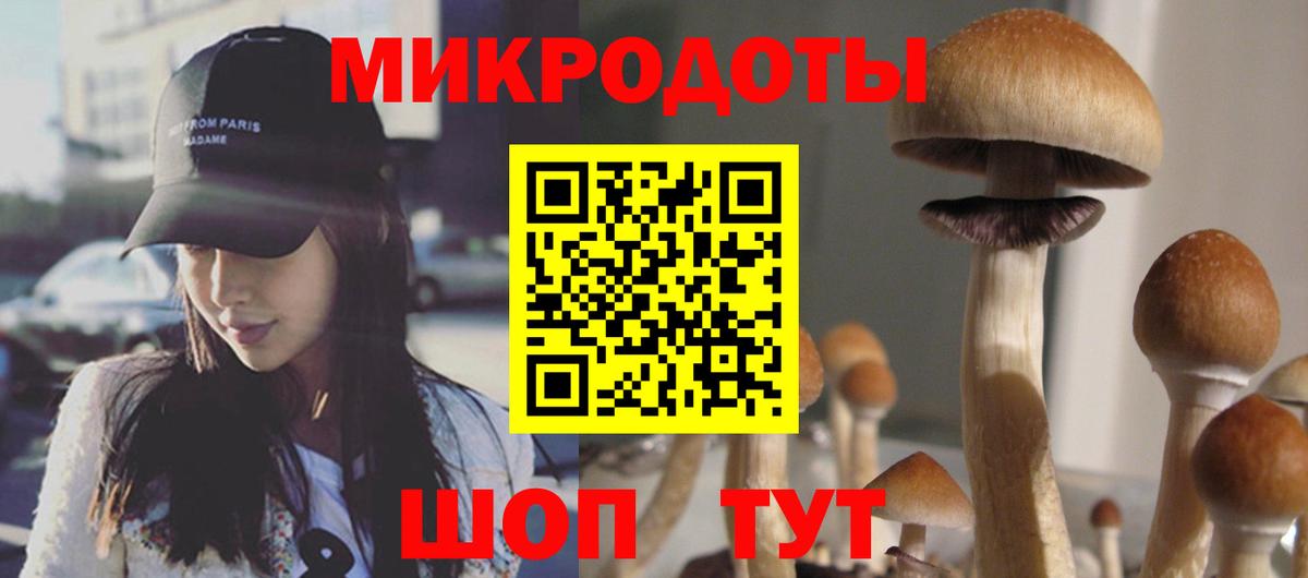 Псилоцибиновые грибы Psilocybine cubensis Михайловск
